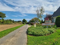 Route de Manoury - Bennetot